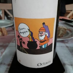 Domaine de l'Octavin - Alice Bouvot - Potion Magique