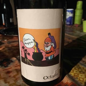 Potion Magique - Domaine de l'Octavin - alice-bouvot