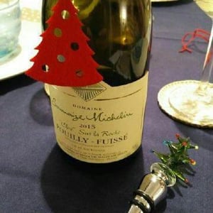 Pouilly-Fuissè Clos Sur La Roche - Saumaize-Michelin - anthony-nathalie-jacques-saumaize