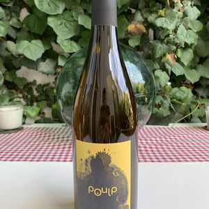 Poulp - Thibault Stephan - thibault-stephan