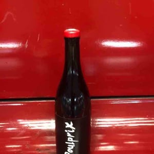 Domaine Ganevat - Anne & Jean-François Ganevat - Poulprix