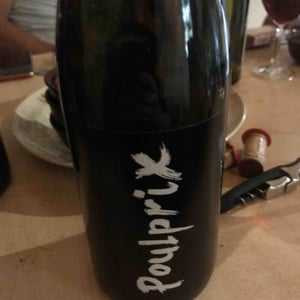 Poulprix - Domaine Ganevat - anne-jean-francois-ganevat