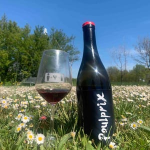 Poulprix - Domaine Ganevat - anne-jean-francois-ganevat