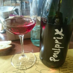 Poulprix - Domaine Ganevat - anne-jean-francois-ganevat