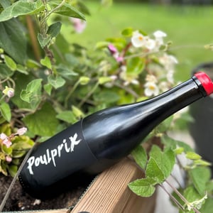 Poulprix - Domaine Ganevat - Anne & Jean-François Ganevat 