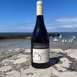 Poulsard - Domaine Des Marnes Blanches - pauline-geraud-fromont