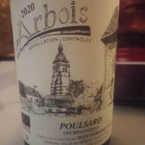 Poulsard - Domaine Villet - gerard-christine-villet
