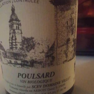 Poulsard - Domaine Villet - gerard-christine-villet