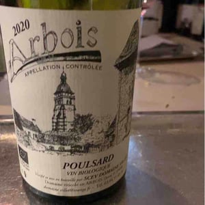 Poulsard - Domaine Villet - gerard-christine-villet