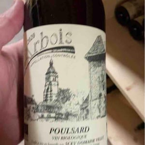 Poulsard - Domaine Villet - gerard-christine-villet