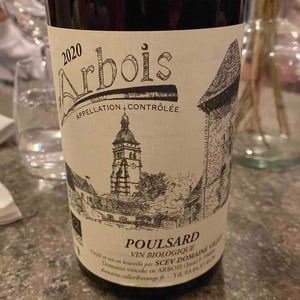 Poulsard - Domaine Villet - gerard-christine-villet