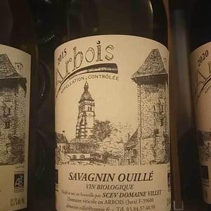 Poulsard - Domaine Villet - Gérard & Christine Villet 