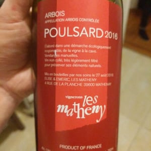 Poulsard - Les Matheny - emeric-foleat-elise-vincent