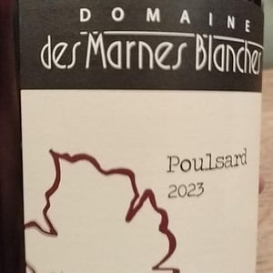 Poulsard - Domaine Des Marnes Blanches - pauline-geraud-fromont