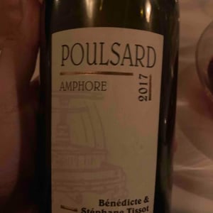 Poulsard Amphore - Domaine André & Mireille Tissot - Bénédicte & Stéphane Tissot 