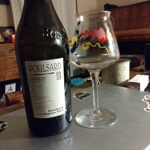 Domaine André & Mireille Tissot - Bénédicte & Stéphane Tissot - Poulsard Amphore