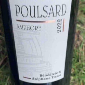 Poulsard Amphore - Domaine André & Mireille Tissot - Bénédicte & Stéphane Tissot 
