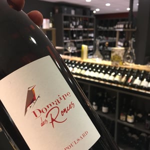 Poulsard - Domaine des Ronces - michel-kevin-mazier