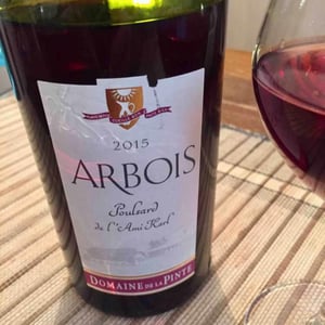 Poulsard De L'Ami Karl - Domaine de la Pinte - pierre-martin