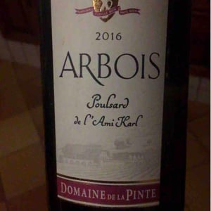 Poulsard De L'Ami Karl - Domaine de la Pinte - pierre-martin