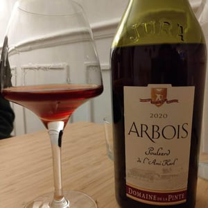 Domaine de la Pinte - Pierre Martin - Poulsard De L'Ami Karl