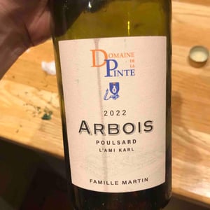 Poulsard De L'Ami Karl - Domaine de la Pinte - Pierre Martin 