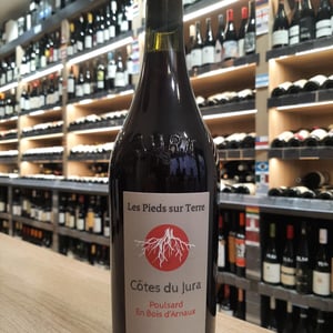 Poulsard En Bois d'Arnaux - Les Pieds Sur Terre - valentin-morel -2022