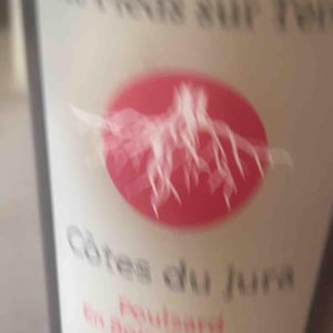 Poulsard En Bois d'Arnaux - Les Pieds Sur Terre - Valentin Morel -2022