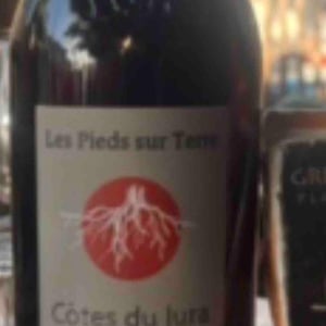 Poulsard En Bois d'Arnaux - Les Pieds Sur Terre - Valentin Morel -2022