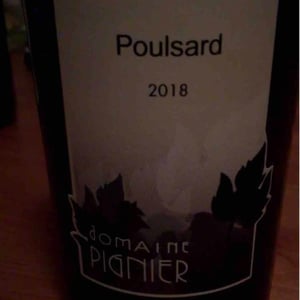 Poulsard en Chôné - Domaine Pignier - Marie Florence, Antoine & Jean-Etienne Pignier 