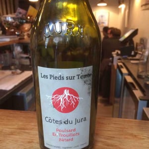 Poulsard En Trouillots Bâtard - Les Pieds Sur Terre - Valentin Morel 