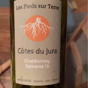 Les Pieds Sur Terre - Valentin Morel - Poulsard En Trouillots Bâtard