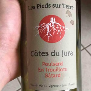 Les Pieds Sur Terre - Valentin Morel - Poulsard En Trouillots Bâtard