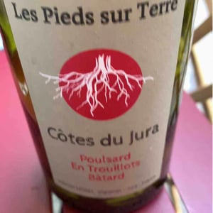 Poulsard En Trouillots Bâtard - Les Pieds Sur Terre - valentin-morel