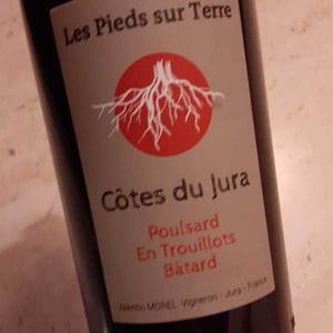 Les Pieds Sur Terre - Valentin Morel - Poulsard En Trouillots Bâtard