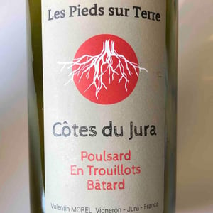 Les Pieds Sur Terre - Valentin Morel - Poulsard En Trouillots Bâtard