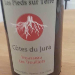 Poulsard En Trouillots Bâtard - Les Pieds Sur Terre - valentin-morel