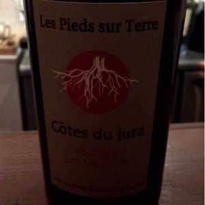 Poulsard En Trouillots Bâtard - Les Pieds Sur Terre - Valentin Morel 