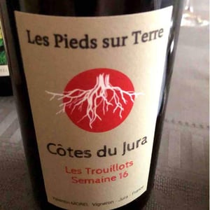 Les Pieds Sur Terre - Valentin Morel - Poulsard En Trouillots Bâtard