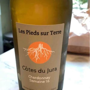 Les Pieds Sur Terre - Valentin Morel - Poulsard En Trouillots Bâtard