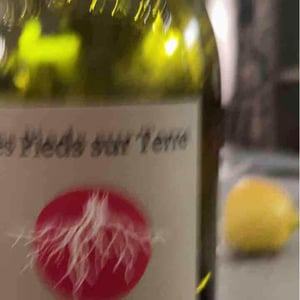 Les Pieds Sur Terre - Valentin Morel - Poulsard En Trouillots Bâtard