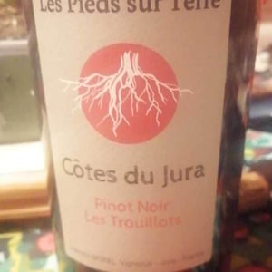 Les Pieds Sur Terre - Valentin Morel - Poulsard En Trouillots Bâtard