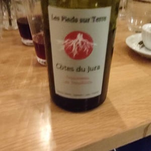 Les Pieds Sur Terre - Valentin Morel - Poulsard En Trouillots Bâtard