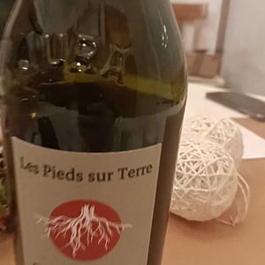 Poulsard En Trouillots Bâtard - Les Pieds Sur Terre - valentin-morel