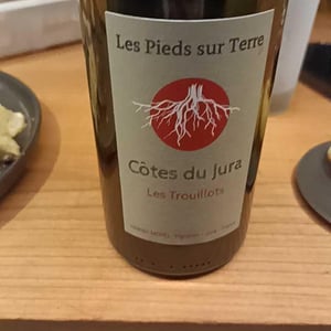 Poulsard En Trouillots Bâtard - Les Pieds Sur Terre - valentin-morel