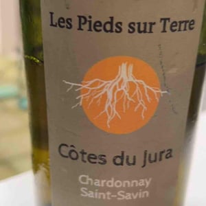 Poulsard En Trouillots Bâtard - Les Pieds Sur Terre - Valentin Morel 