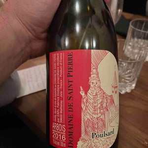 Poulsard - Domaine de Saint Pierre - Fabrice Dodane 