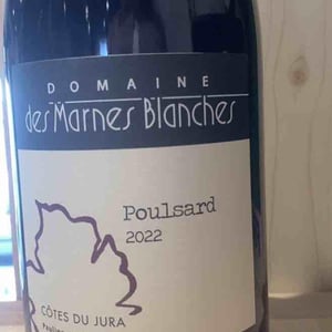 Poulsard - Domaine Des Marnes Blanches - pauline-geraud-fromont
