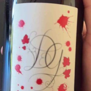 Poulsard - Damien Guadagnolo - damien-guadagnolo -2019