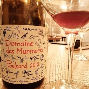 Poulsard - Domaine des Murmures - emmanuel-lancon